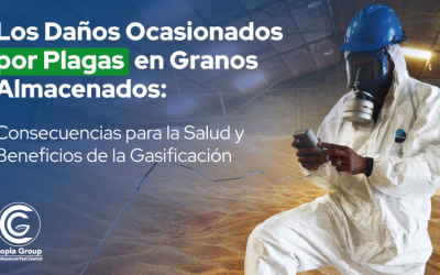 Los Daños Ocasionados por Plagas en Granos Almacenados:Consecuencias para la Salud y Beneficios de la Gasificación