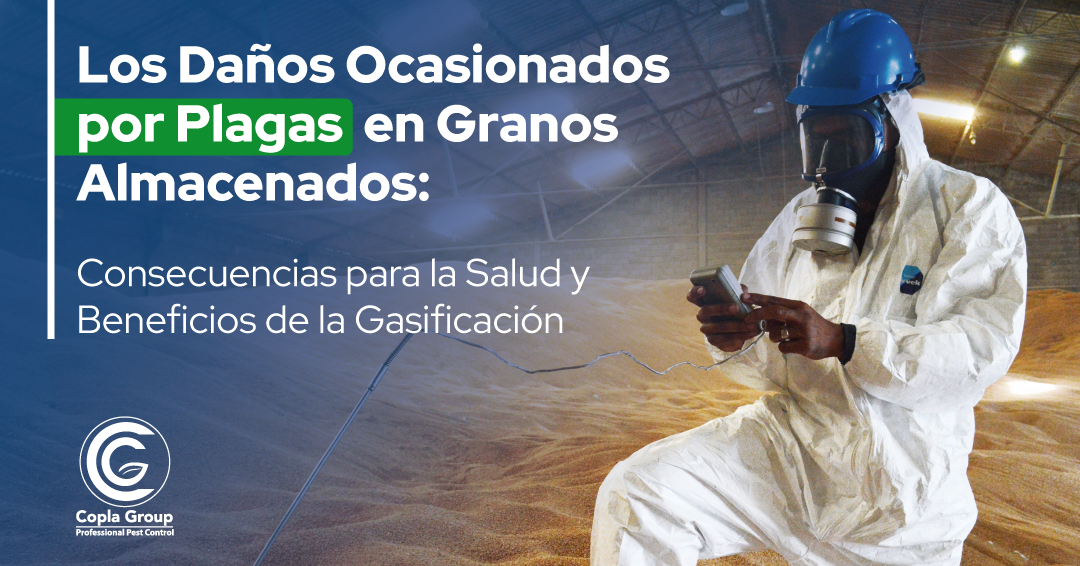 Los Daños Ocasionados por Plagas en Granos Almacenados:Consecuencias para la Salud y Beneficios de la Gasificación