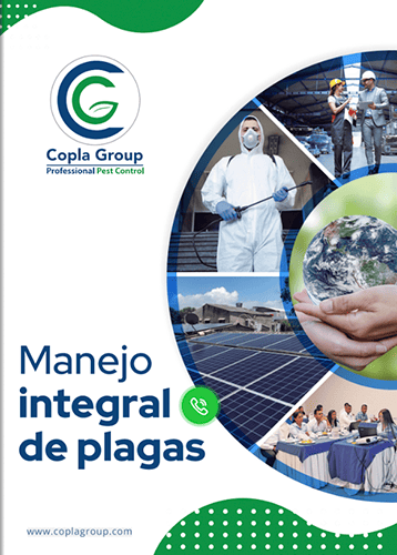 portafolio_virtual_servicios_copla_group