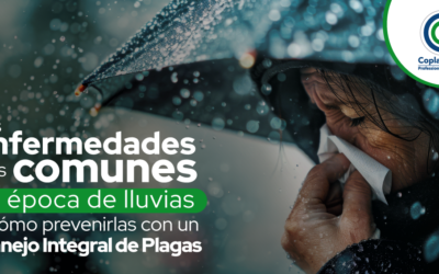 Las enfermedades más comunes en época de lluvias y cómo prevenirlas con un Manejo Integral de Plagas