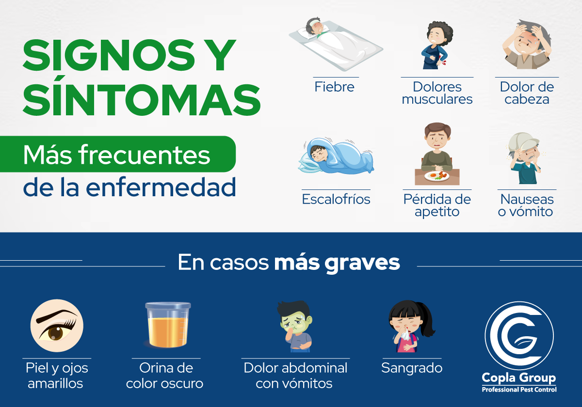signos_sintomas_fiebre_amarilla