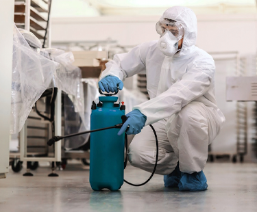 importancia_control_plagas