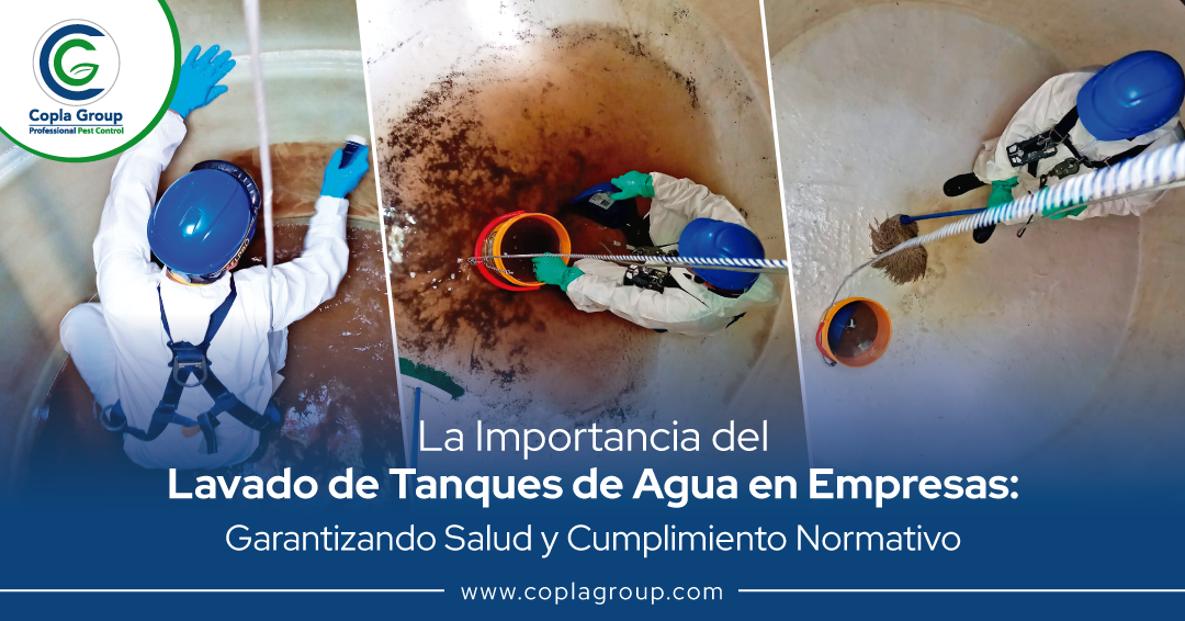 lavado_tanques_de_agua_empresas