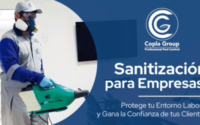 Sanitización para Empresas: Protege tu Entorno Laboral y Gana la Confianza de tus Clientes