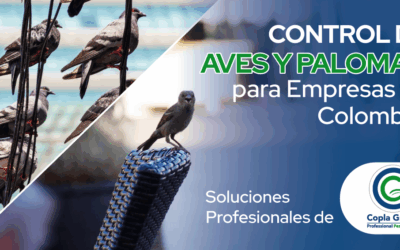 Control de Aves y Palomas para Empresas en Colombia: Soluciones Profesionales de Copla Group