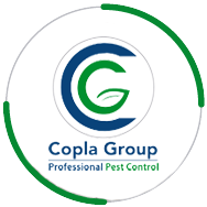 asesor_2 control_plagas_colombia